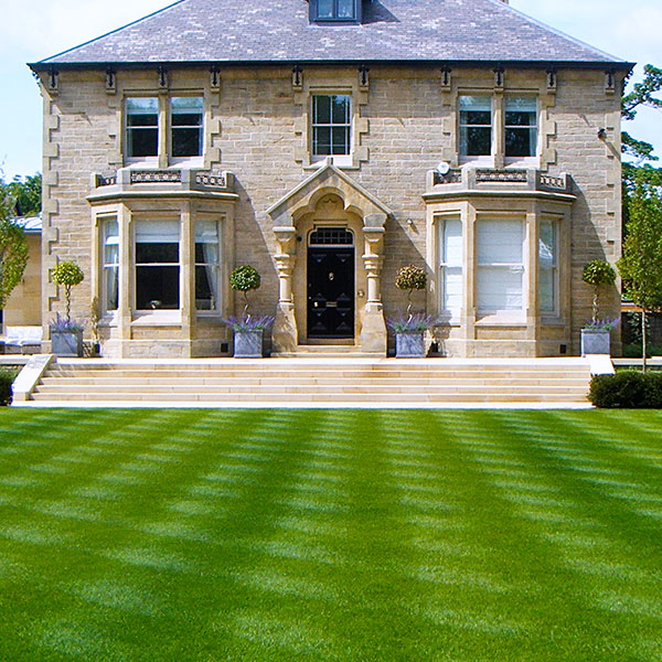 Royal Turf from Royce Lawn Turf